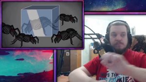 РЕБОРН СМОТРИТ ► SCP-3035 Научные жуки ► РЕАКЦИЯ НА ДЕТЕКТИВА ВОЙДА перезолив с ютуба