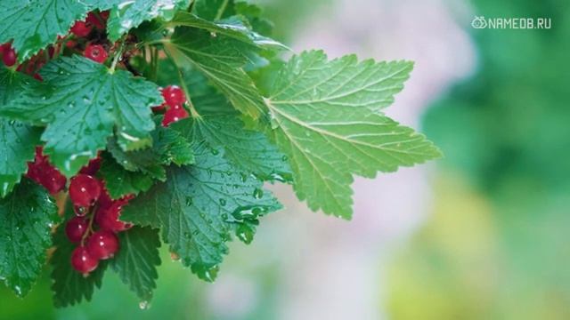 Водолей-ребенок и его воспитание