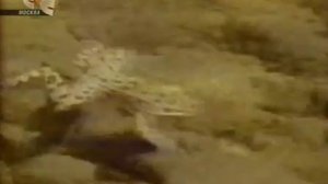 Улица Сезам 04 09 2006