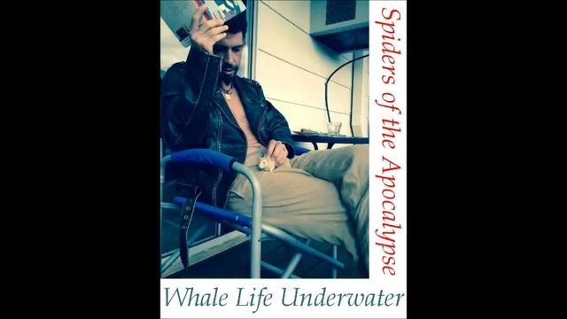 Spiders of the Apocalypse - Desire and Discord смотреть онлайн