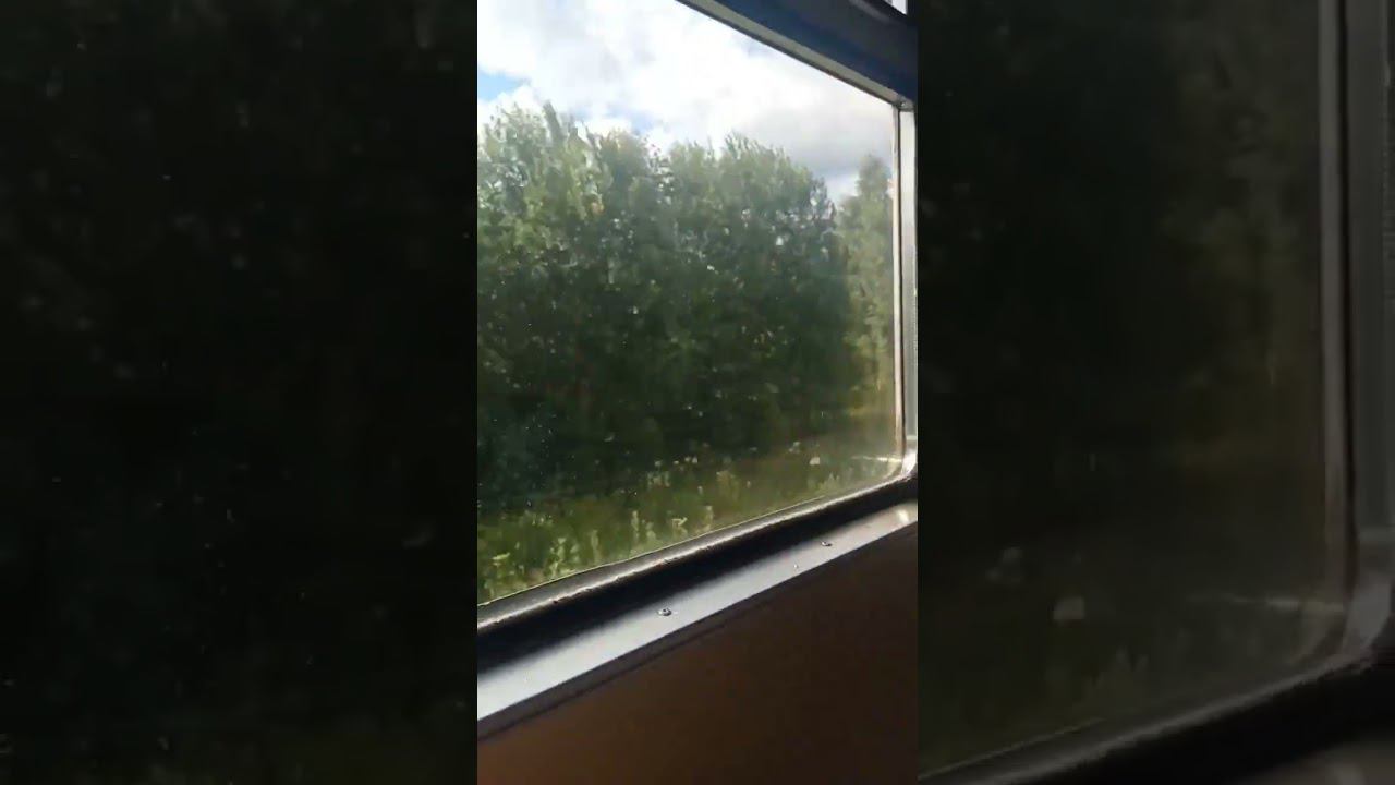 ЕДЕМ-ЕДЕМ В СОСЕДНЕЕ СЕЛО, ОТДЫХАТЬ #rabbitkpuc смотреть онлайн