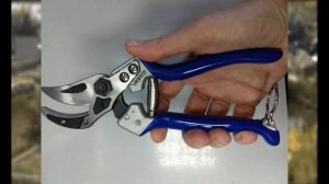 Секатор садовый, какой лучше для веток