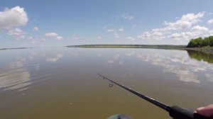 Ловля спиннингом на Амуре. Приманки и техника ловли. Верхогляд, сом, ауха, краснопер