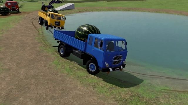 TRUCKS OF COLORS ! LARGEST WATERMELON? TRANSPORTING with COLORED FIAT TRUCKS ! Farming Simulator 22 смотреть онлайн