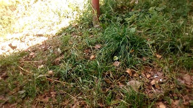 Любимое число dimon228 (6 лайков) смотреть онлайн