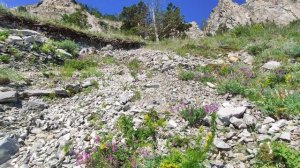 Байкал / Обвал / Попал.)