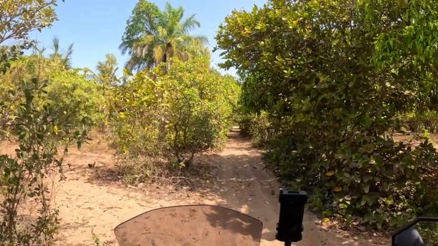 I Become A Free Mototaxi Driver On An Island In Senegal  S7E31