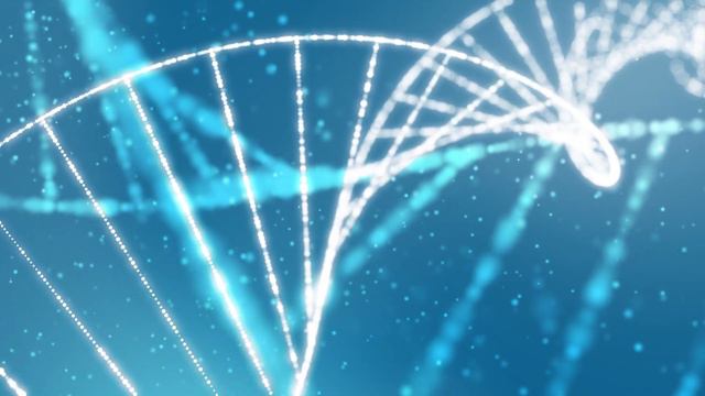 Техника концентрации. Баланс. смотреть онлайн