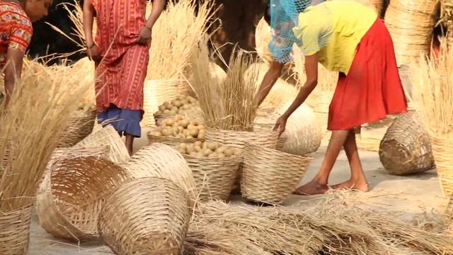 Testing Canon 70 D Video. смотреть онлайн