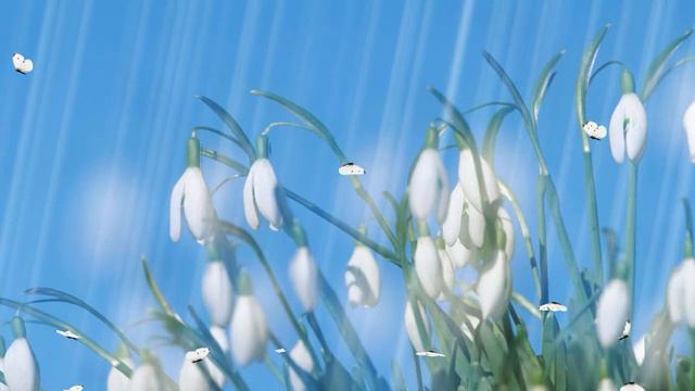 Футаж подснежники бабочки лучи солнца звуки весны смотреть онлайн