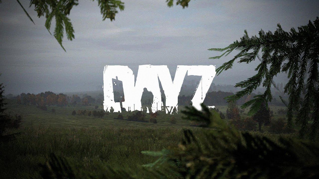 DayZ в поисках хорошего сервера ссылка на vk play live в описании смотреть онлайн