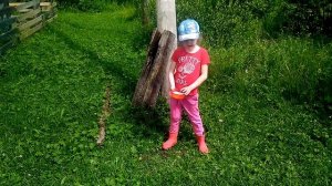 БОРЩЕВИК ЗАХВАТИЛ ЗЕМЛЮ! НАРОД ПРОТИВ БОРЩЕВИКА! СОНЯ ПОБЕЖДАЕТ БОРЩЕВИК!