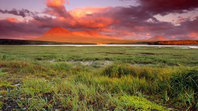 Трамп в Техасе и начинает действовать Выборы в Америке 2020 2021 смотреть онлайн