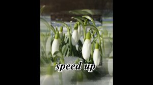 Чумачечая Весна [Speed up + Bass]  Потап и Настя.