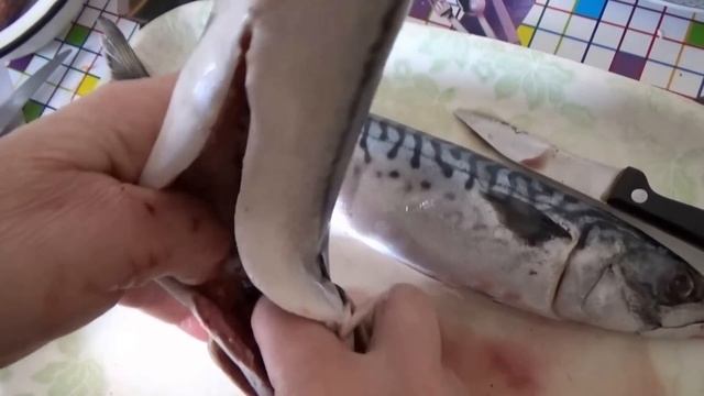 СКУМБРИЯ. Как почистить скумбрию? Самый удобный и быстрый способ.Чистим рыбу. Супер рыба Омега 3 смотреть онлайн