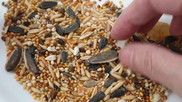 Обзор кормов для попугаев Sultan Triol Любимчик