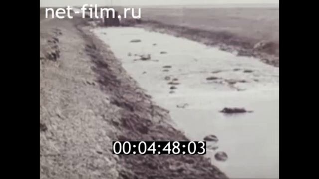 1979г. Калмыкия. охрана сайгаков смотреть онлайн