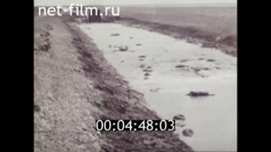 1979г. Калмыкия. охрана сайгаков