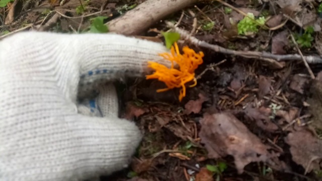 Необъяснимое - но факт #2 - Unexplained - but true. смотреть онлайн