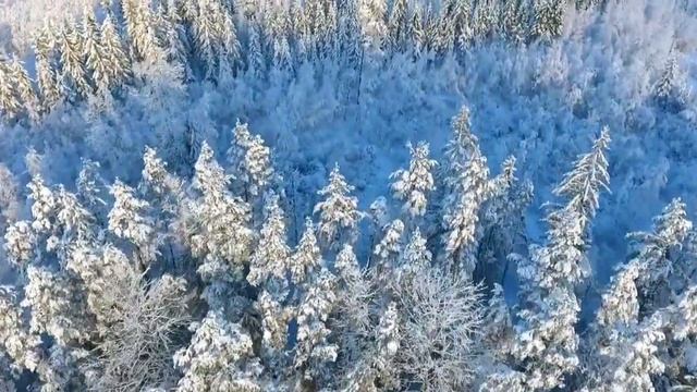 Созрела тишина смотреть онлайн