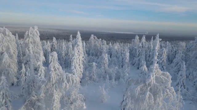 ❄️Зимние ❄️музыкальные🎶 композиции 🎼Сергея Чекалина❄️ смотреть онлайн