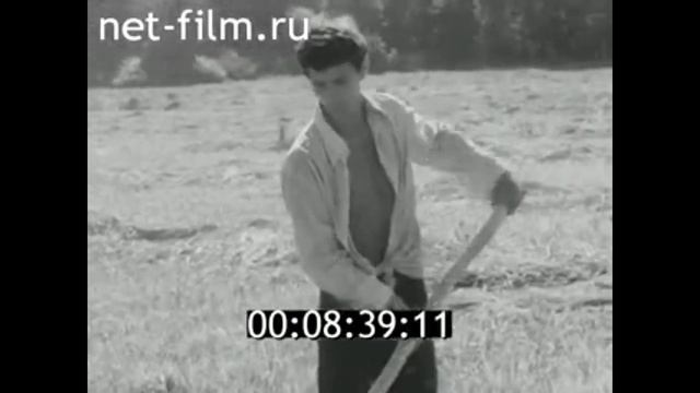 1976г. Третий семестр. студенческие строительные отряды смотреть онлайн