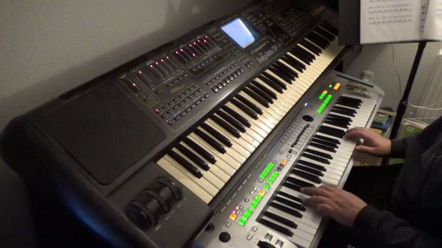 V Dolini Tihi (Lojzeta Slaka) - yamaha tyros 3 смотреть онлайн
