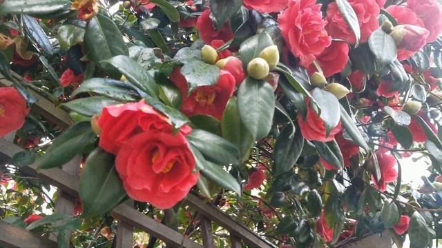 #3. Куда сходить в Лондоне: South Kensington / Южный Кенсингтон смотреть онлайн