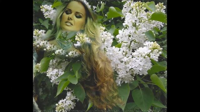 Белая сирень - сл. Любовь Эдвардсен, муз. Николай Головков, исп. Вера Царёва смотреть онлайн