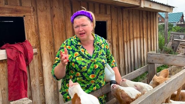 ДОЧЬ ОСЧАСТЛИВИЛА-Я УПАЛА В ОБМОРОК! ЗАКОПАЛИ ТЕЛЁНКА! ВЫЖИВАНИЕ В ДЕРЕВНЕ МОЛОДОЖЕНАМ смотреть онлайн