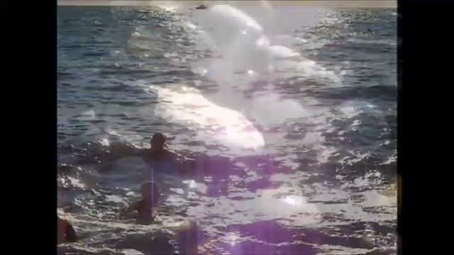 МоРЕ И ГИТАРА 2015 ЛАЗАРЕВСКОЕ смотреть онлайн