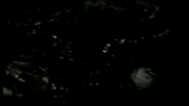 Tracking Hurricane Allen-1980