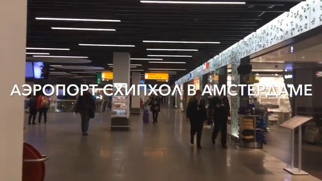 Аэропорт Схипхол в Амстердаме#аэропорт#путешествия#✈️?? смотреть онлайн