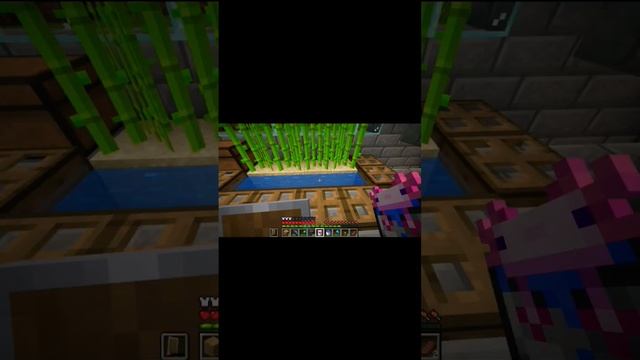 #Как приручить аксолотля в Майнкрафте ? #How to tame an axolotl in Minecraft ? #Аксолотль #Axolotl