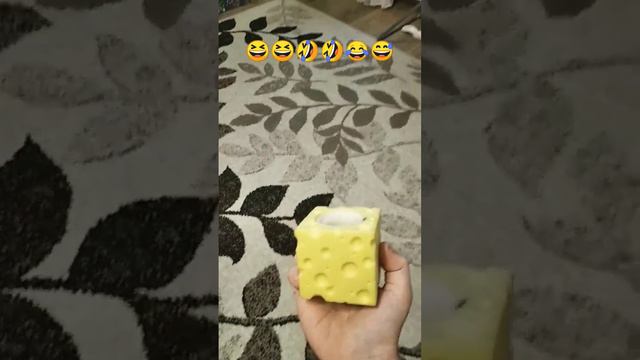 если тебе стало грустно и одиноко купи себе фуфлика смотреть онлайн