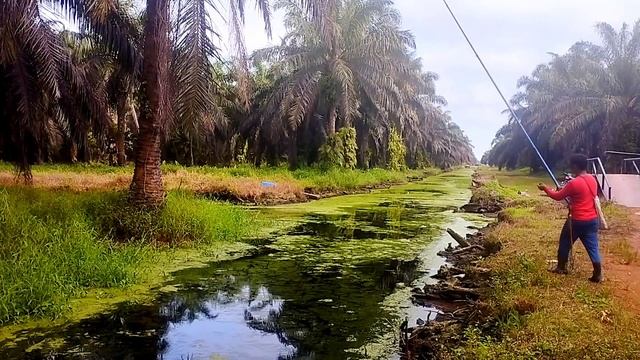 Kayak Mimpi Berulang Ulang Kali Pak