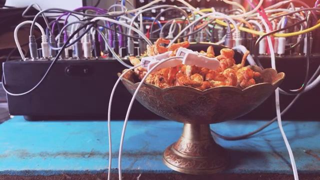 Parasitic Fungi Talk About Taking Over The World: Cordyceps Mushrooms Play Eurorack Modular Synth смотреть онлайн