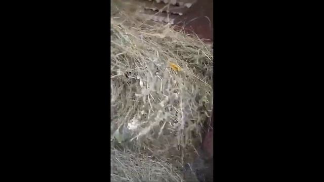 Самодельный тракторок смотреть онлайн