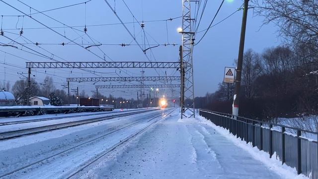 ” Зимняя птичка в сумерках!