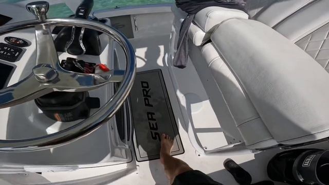 2021 SeaPro 208 Overview