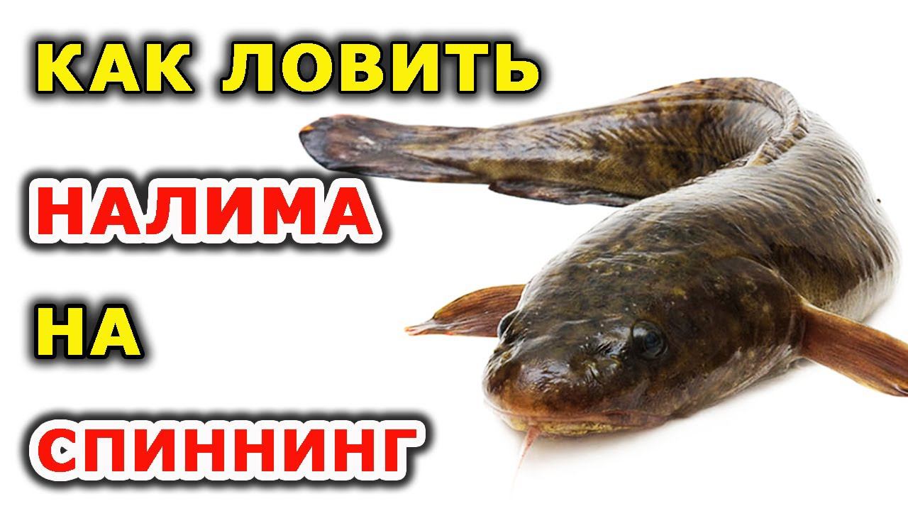 Рыбалка Крутеня