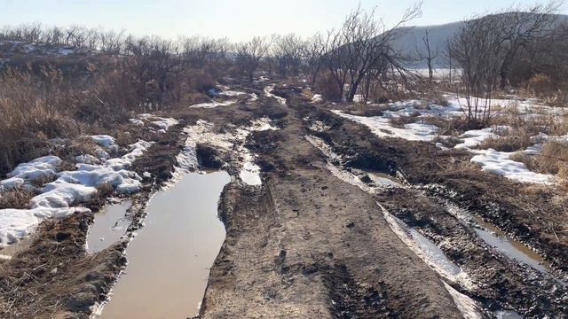Владивосток - остров Русский (Поспелова | Балка | Иванцова | Ахлестышева) смотреть онлайн