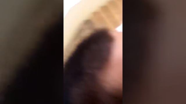 Белые камни 2смена смотреть онлайн