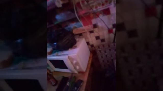 религия и девственицы....какой ублюдок их связал вместе🤕 смотреть онлайн