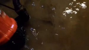 Обзор нового дренажного насоса, дренажный насос ЗУБР