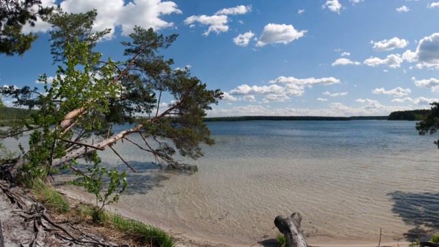 Песня «Моя Беларусь». Исполнитель Иван Малашкевич. смотреть онлайн