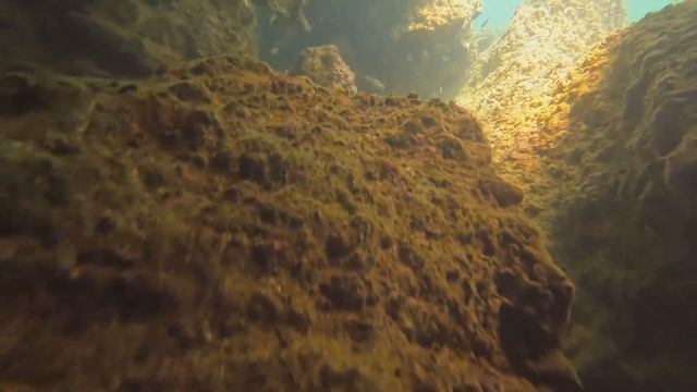 Дайвинг на Пхи-Пхи, видел акул. Сдал машину взял байк. Готовимся к Сонгкрану смотреть онлайн