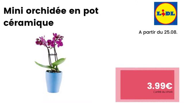 💥 ARRIVAGE LIDL💥 PLANTES ET FLEURS - 23 août 2021 - 10 OFFRES - FRANCE смотреть онлайн