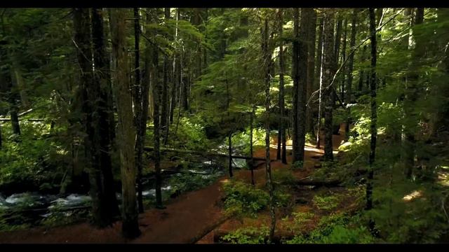 Притча о жуке смотреть онлайн