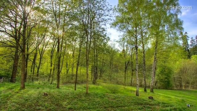 @_nuurzat_ Все временно...🍀 смотреть онлайн